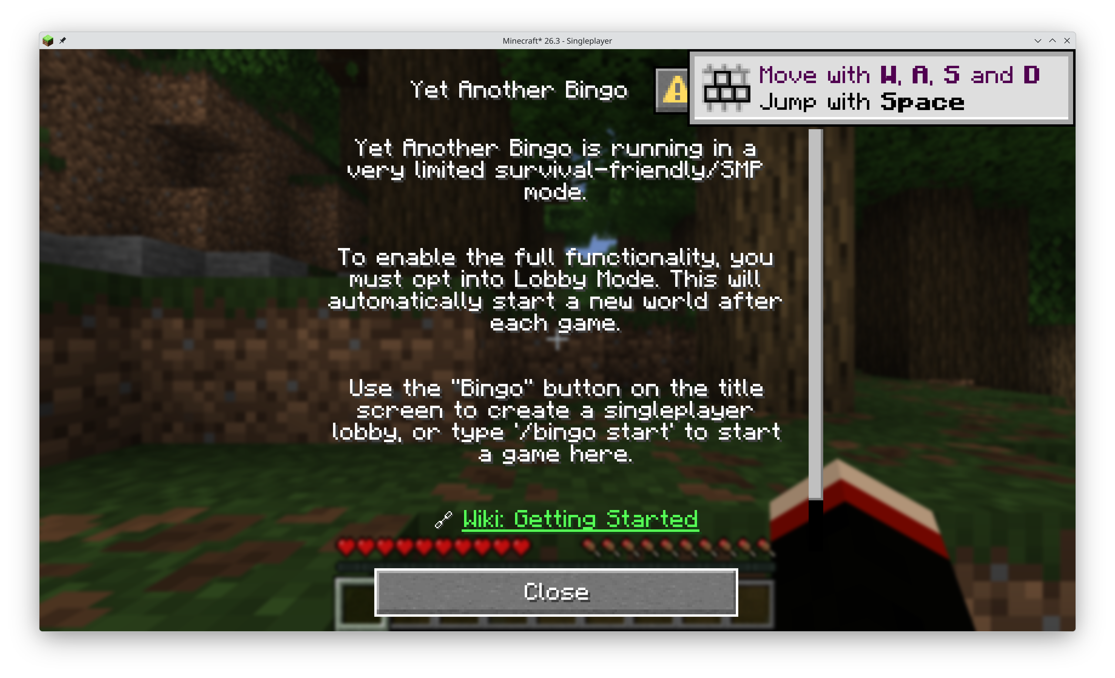 Bingo info